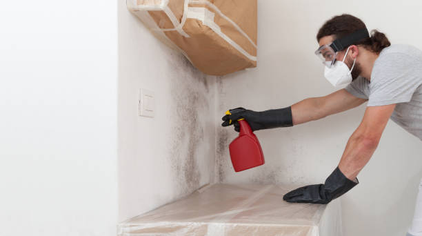 Professional Mold Removal technician working in Moncure, NC