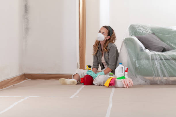 Reliable Mold Removal contractor in Moncure, NC by 24 Hour Mold Removal